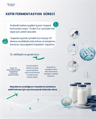 Kefir Mayası 10 Kapsül