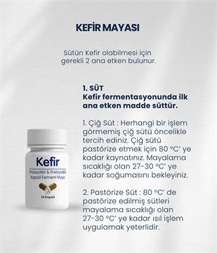 Kefir Mayası 10 Kapsül
