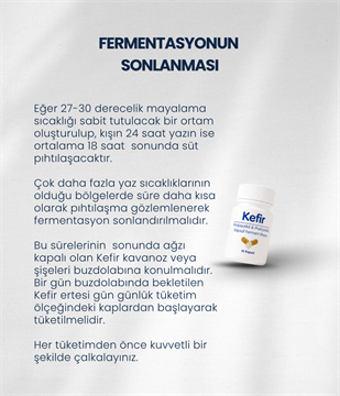 Kefir Mayası 10 Kapsül