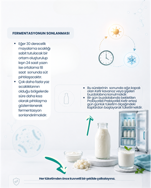 Kefir Mayası 10 Kapsül