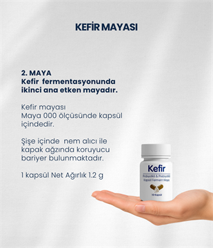 Kefir Mayası 10 Kapsül