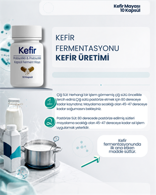 Kefir Mayası 10 Kapsül