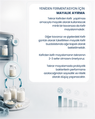 Kefir Mayası 10 Kapsül