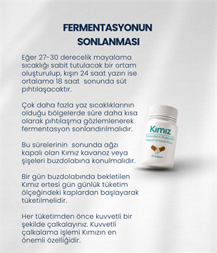 Kımız Mayası 10 Kapsül