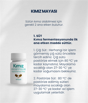 Kımız Mayası 10 Kapsül