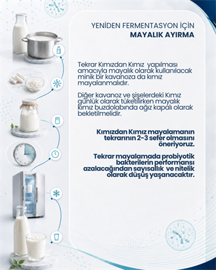 Kımız Mayası 10 Kapsül