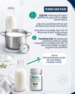 Kımız Mayası 10 Kapsül