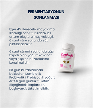 Kombiotik Yoğurt Mayası 30 Kapsül