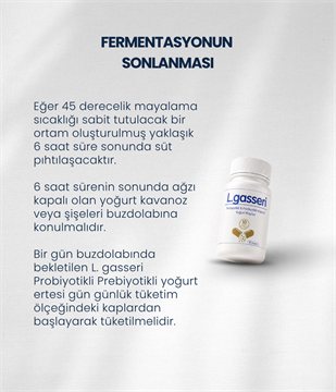 L.gasseri Yoğurt Mayası 30 Kapsül