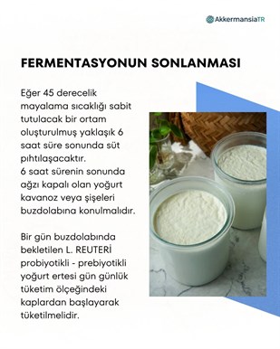 L.reuteri Yoğurt Mayası 30 Kapsül