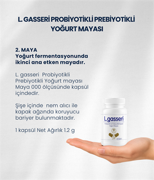 L.gasseri Yoğurt Mayası 30 Kapsül