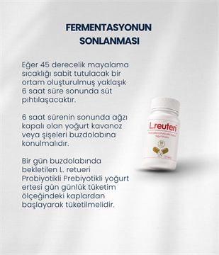 L.reuteri Yoğurt Mayası 30 Kapsül