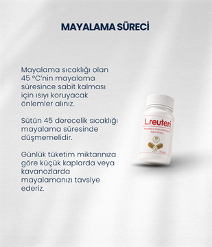 L.reuteri Yoğurt Mayası 30 Kapsül