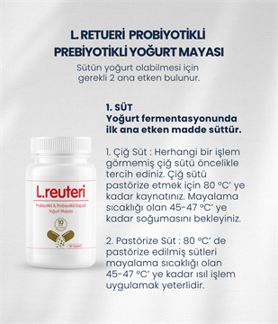 L.reuteri Yoğurt Mayası 30 Kapsül
