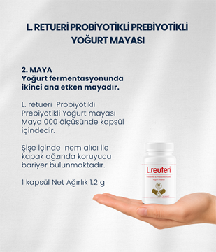 L.reuteri Yoğurt Mayası 30 Kapsül