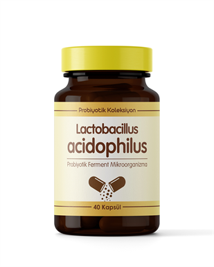 Lactobacillus acidophilus ( 30 Saşe )
