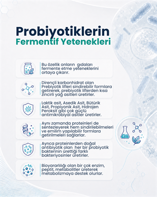 Lactobacillus acidophilus ( 40 Kapsül )