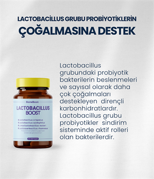 LactobacillusBoost 60 Kapsül