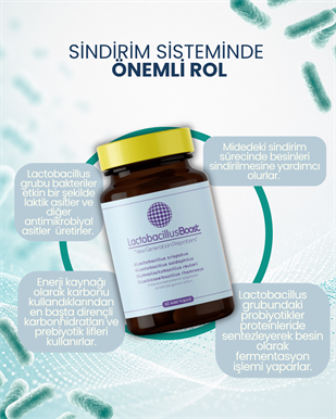 LactobacillusBoost 60 Kapsül