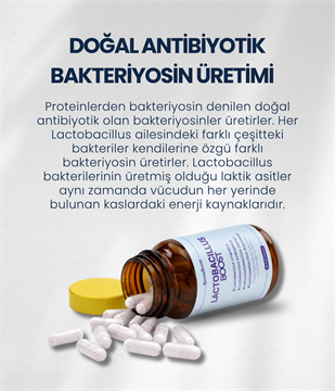 LactobacillusBoost 60 Kapsül