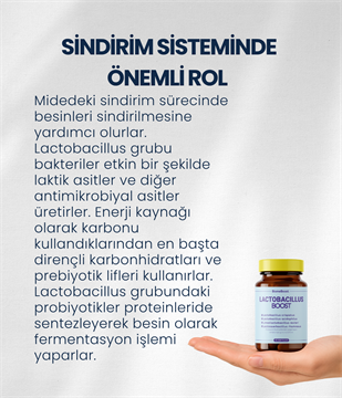LactobacillusBoost 60 Kapsül