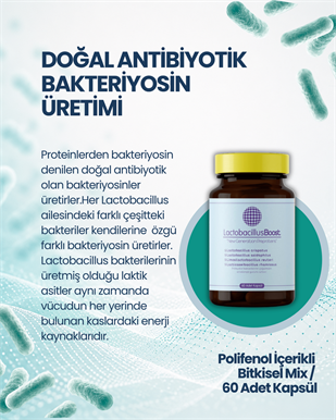 LactobacillusBoost 60 Kapsül