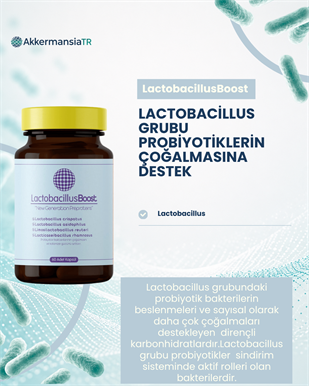LactobacillusBoost 60 Kapsül