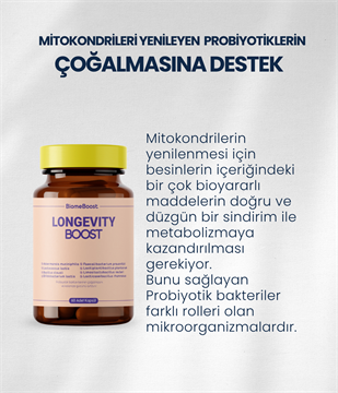 LongevityBoost 60 Kapsül
