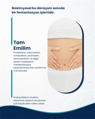 Mide Sağlığı Probiyotik Seti