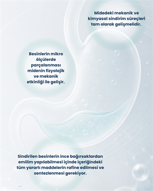 Mide Sağlığı Probiyotik Seti
