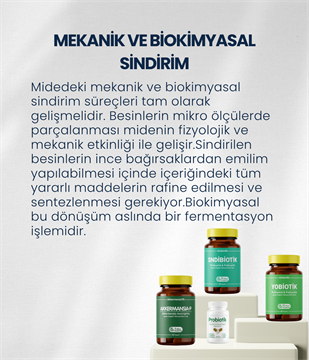 Mide Sağlığı Probiyotik Seti