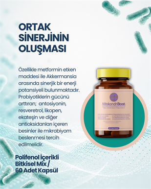 MitokondriBoost 60 Kapsül