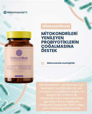 MitokondriBoost 60 Kapsül