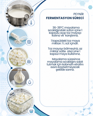 Peynir Mayası 10 Kapsül