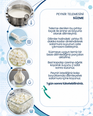 Peynir Mayası 10 Kapsül