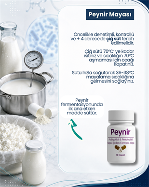 Peynir Mayası 10 Kapsül