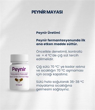 Peynir Mayası 10 Kapsül