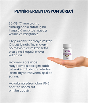 Peynir Mayası 10 Kapsül
