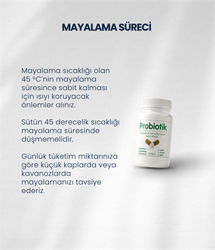 Probiyotik Yoğurt Mayası 10 Kapsül