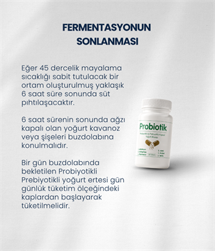 Probiyotik Yoğurt Mayası 10 Kapsül