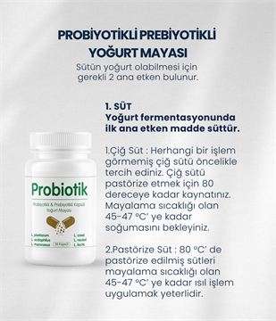 Probiyotik Yoğurt Mayası 30 Kapsül