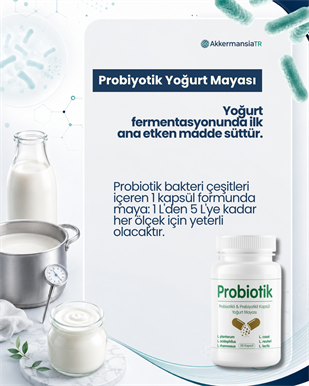 Probiyotik Yoğurt Mayası 30 Kapsül
