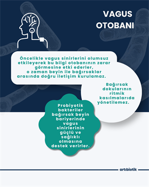 Pskobiotik (İkili)