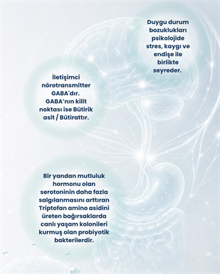 Pskobiyotik Probiyotik Seti