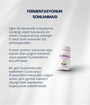 S.salivarius Yoğurt Mayası 30 Kapsül