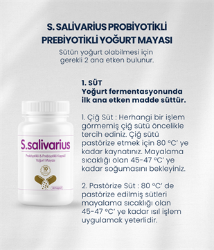S.salivarius Yoğurt Mayası 30 Kapsül