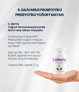 S.salivarius Yoğurt Mayası 30 Kapsül