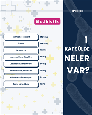 Sistibiotik (İkili)