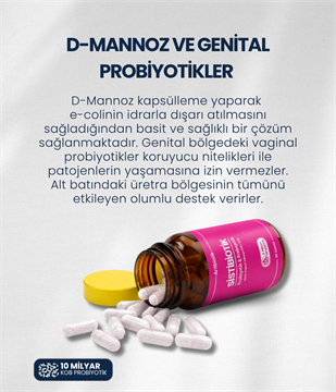 Sistibiotik (İkili)
