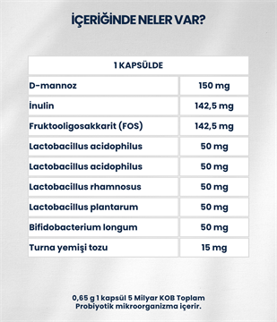Sistibiotik (İkili)